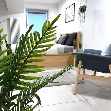 The Hidden Studio; Comfy & Close To The Lake 盧加諾 外观 照片