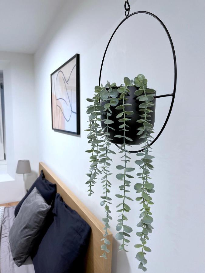 The Hidden Studio; Comfy & Close To The Lake 盧加諾 外观 照片