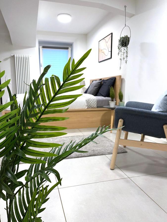 The Hidden Studio; Comfy & Close To The Lake 盧加諾 外观 照片